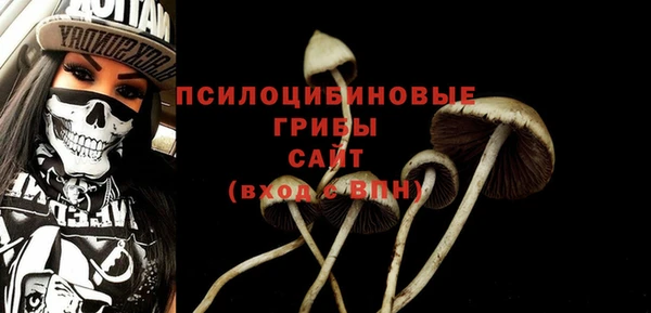 винт Алзамай