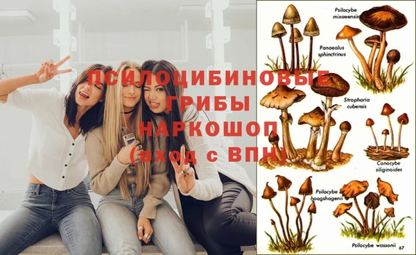 винт Алзамай