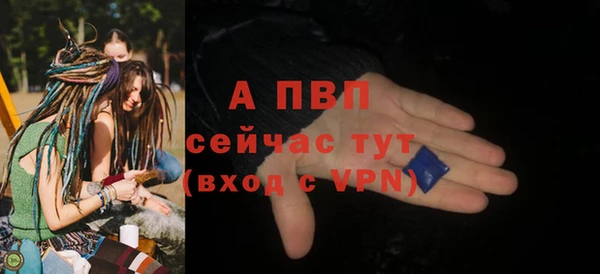винт Алзамай