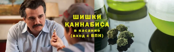 винт Алзамай