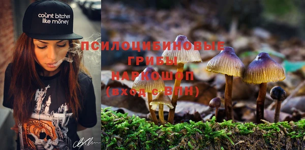 PSILOCYBIN Алексин