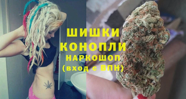 винт Алзамай