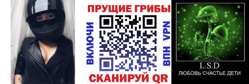 Псилоцибиновые грибы прущие грибы  гидра   Новопавловск  наркотики 
